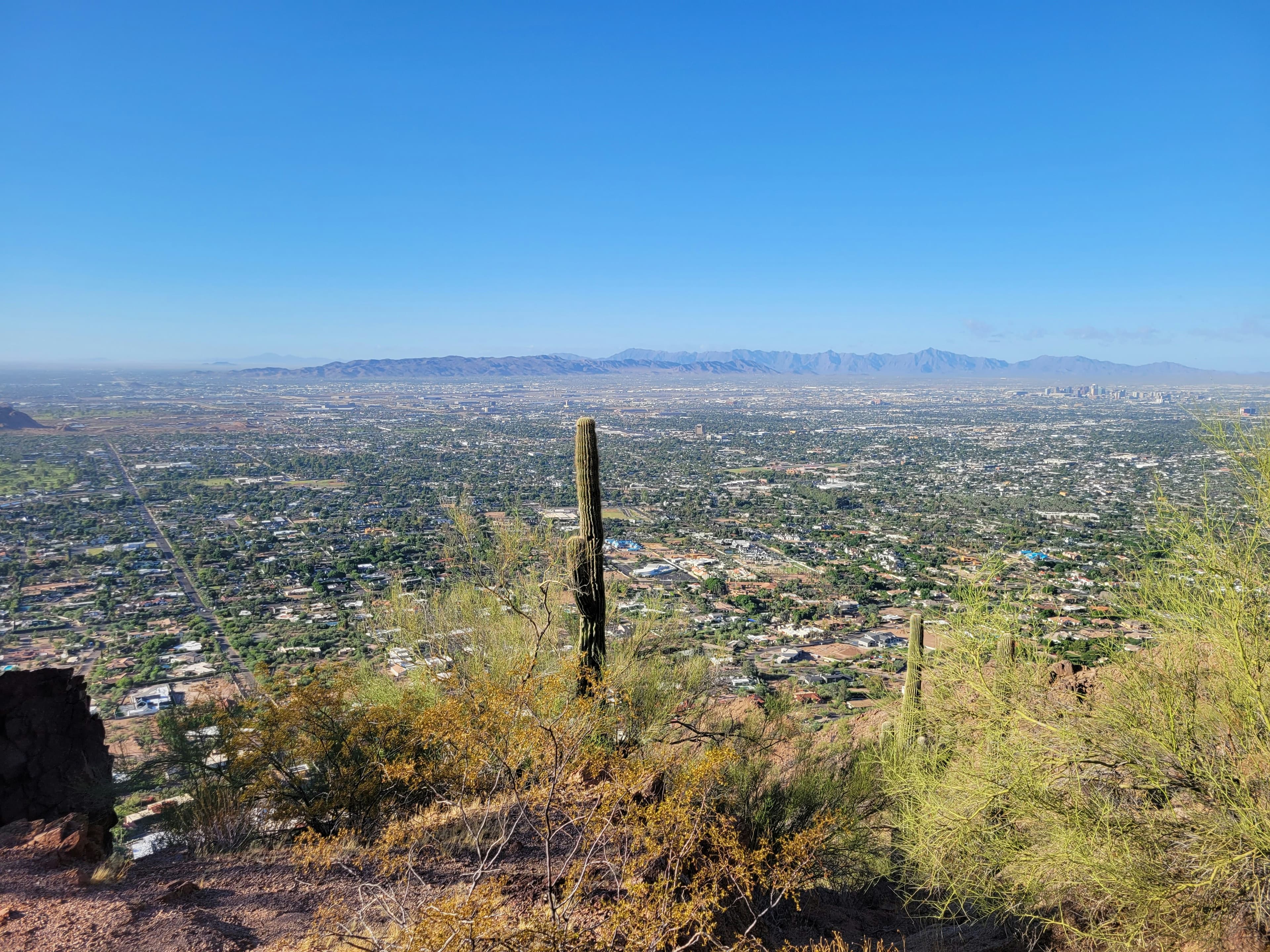 Phoenix desert landscape background